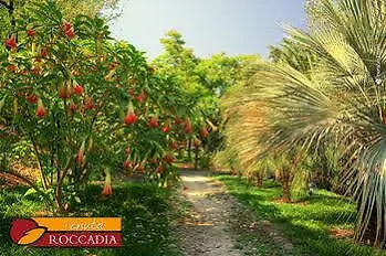 Tenuta Di Roccadia カルレンティーニ 3*,  イタリア